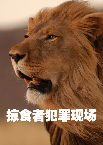 掠食者犯罪现场