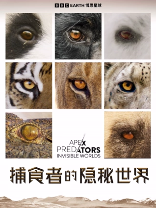 捕食者的隐秘世界版