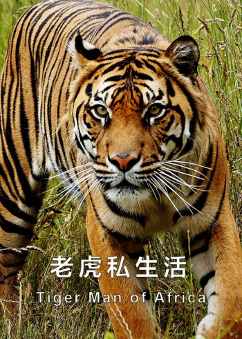 捕狼行动第一部