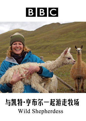 非会员免费体验五分钟